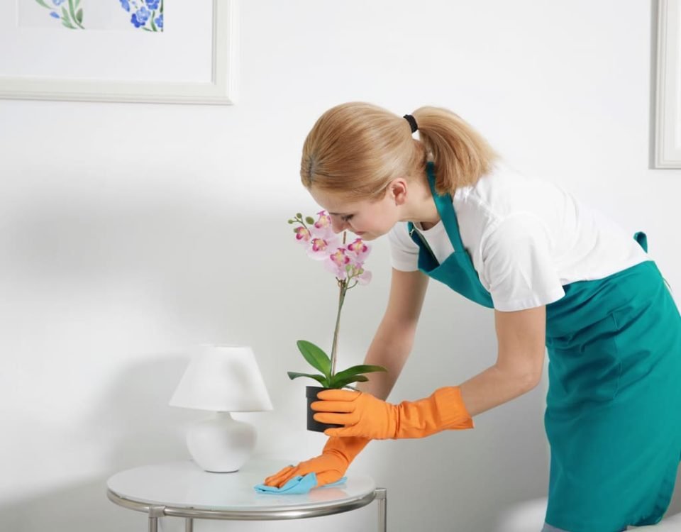 end_of_tenancy_cleaning_london-dusting End Of Tenancy Cleaning London - more about our cleaning company