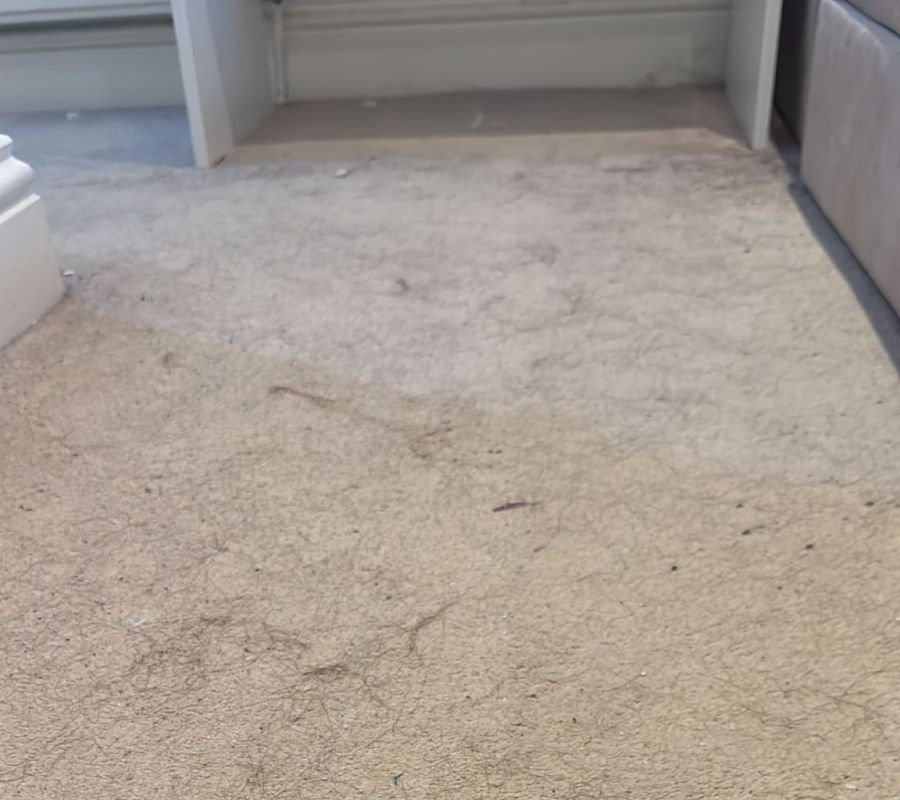 how-made-move-out-easy-carpet-before Case Study - Moving Made Easy. Carpet cleaning - Before.