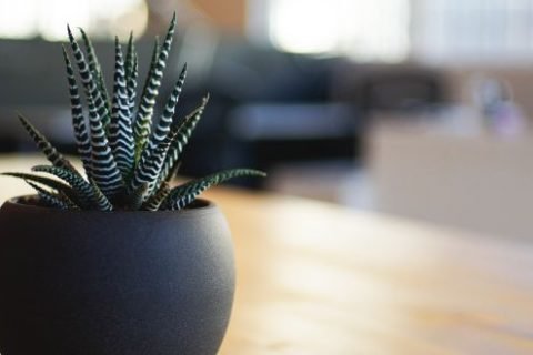 How Can Tenants on a Budget Achieve Effective End of Tenancy Cleaning in London?