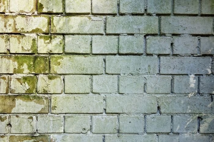 A white brick wall showing signs of dampness and mildew, indicating common issues in areas of the home prone to moisture and the need for regular inspection and cleaning.