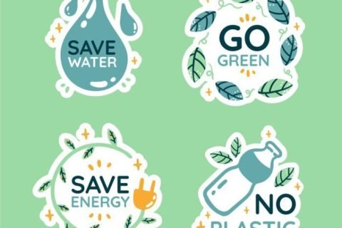 Zero-Waste Cleaning Hacks for Tenants