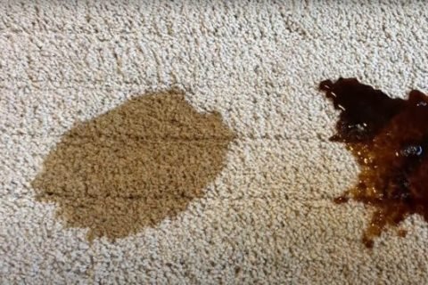 Removing Coffee Stains from Carpets and Upholstery