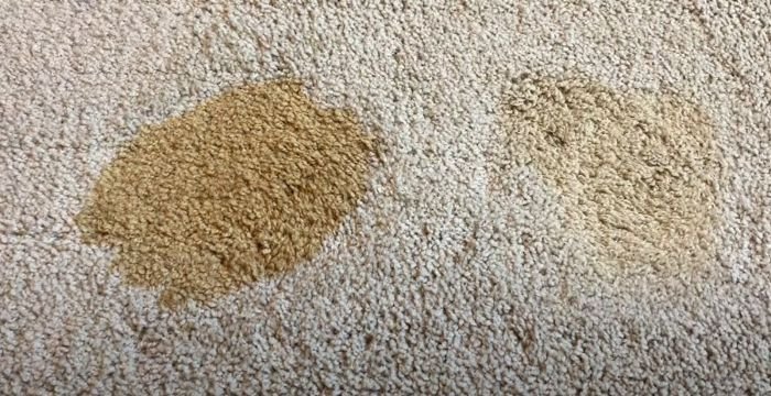 A comparison of two areas on a carpet where one coffee stain has been blotted, showing less saturation, while the other remains untreated.